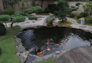 jasa kolam pekanbaru